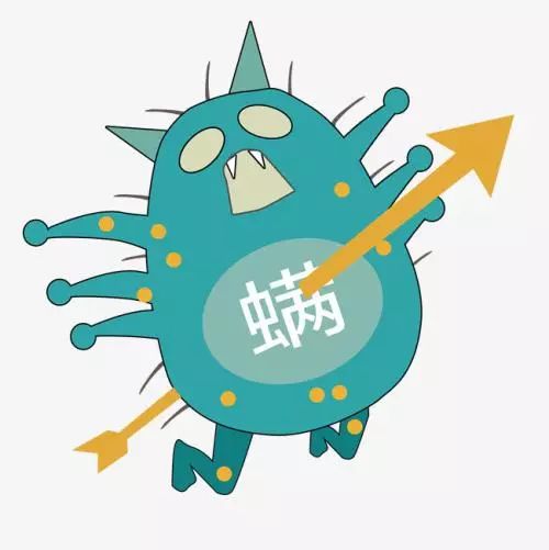 一百只螨虫堆在一起能看见吗,螨虫在脸上繁殖速度