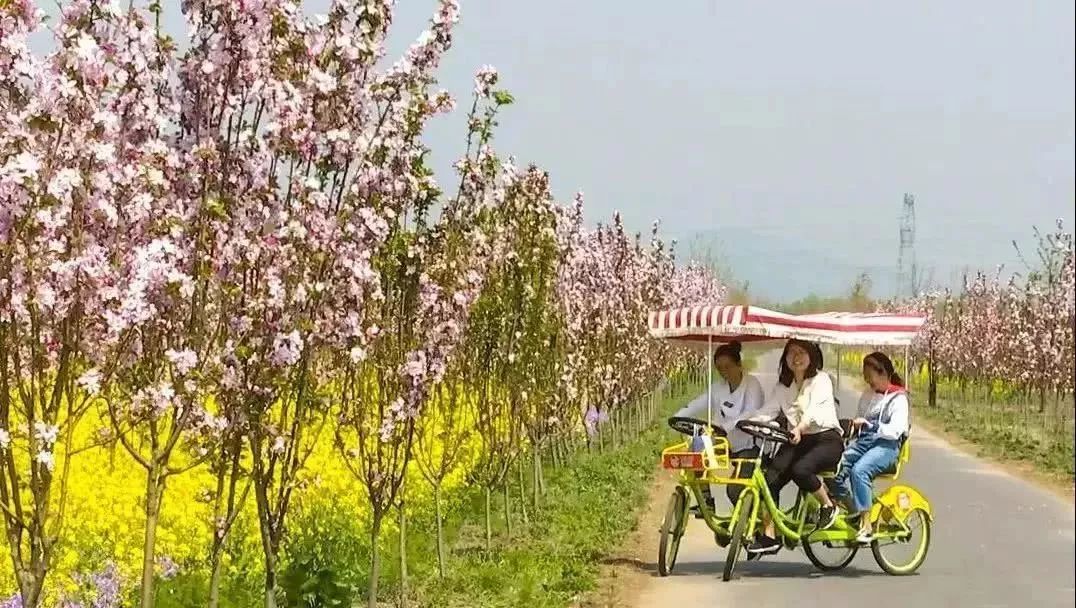 赏花采摘看马战，快来祥和庄园迎娶“春天”！