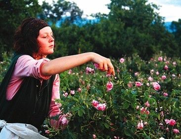 四季可用防晒乳防紫外线50倍正品,防晒一年四季必备