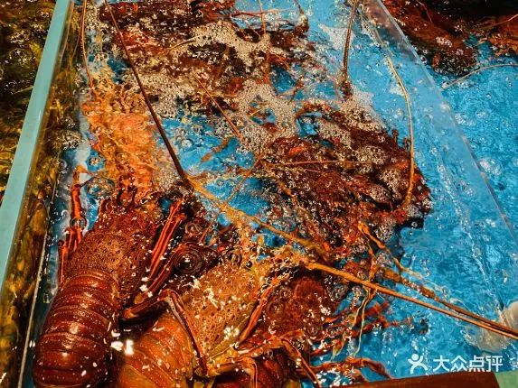 熙地港美食探店地点推荐,熙地港土著餐饮地点推荐