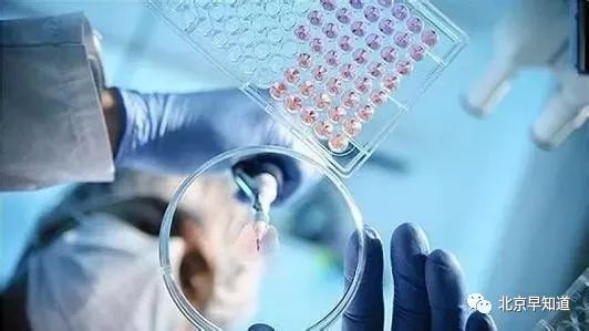 北京怎么治过敏鼻炎 (在北京过敏鼻炎哪里看有效)