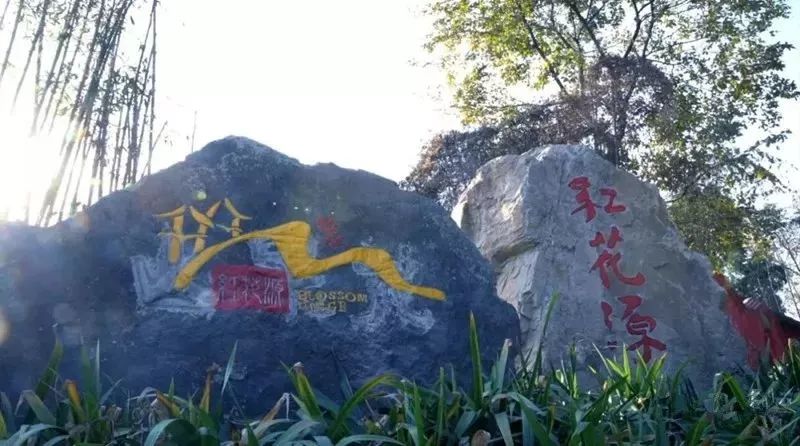 绵州安州景点,绵阳天府春晓两日游攻略