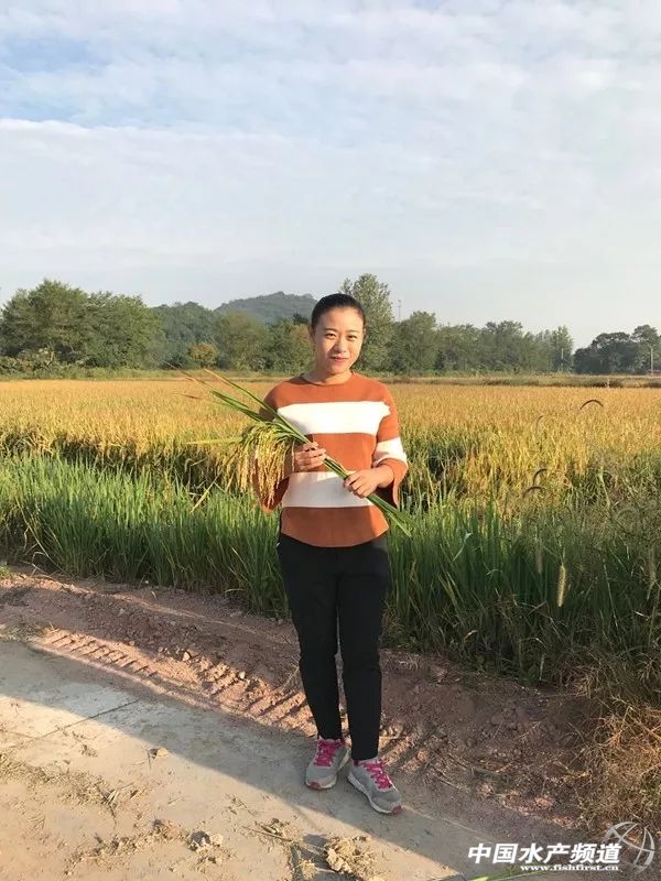 稻虾养殖致富的方法,稻虾养殖致富纪录