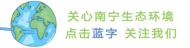 邕小环讲生态故事｜竹子的馈赠：土种树，木养土。竹子的功劳，你知不知道？
