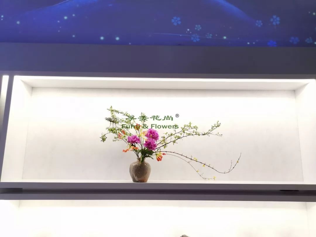 芍药花开清香袭来