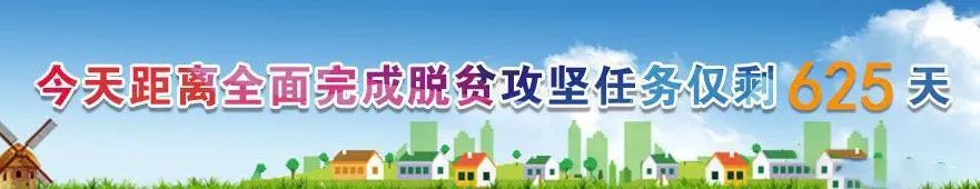 崆峒区发布公告,崆峒区2024年项目公示