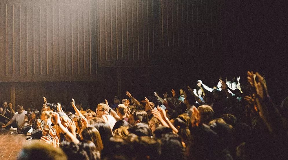 郑渊洁驯兔记全集在哪看,看完郑渊洁的驯兔记你有什么感想