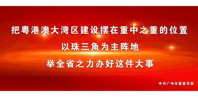 60张照片回忆成长,60多张老照片的回忆