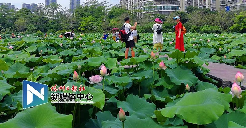 攻略来了！福州地铁2号线，带你打卡美景美食！