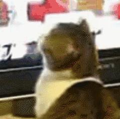 一男子高速上劫持未成年人,浙江温州醉酒男子当街拉扯女孩