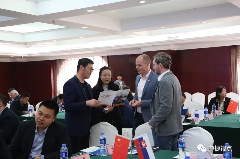 热烈欢迎斯洛伐克商务代表团来我区访问——我区举行中斯企业合作洽谈会