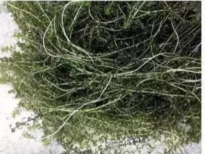 小龙虾养殖水体浑是怎么回事,小龙虾养殖塘的水质怎么处理