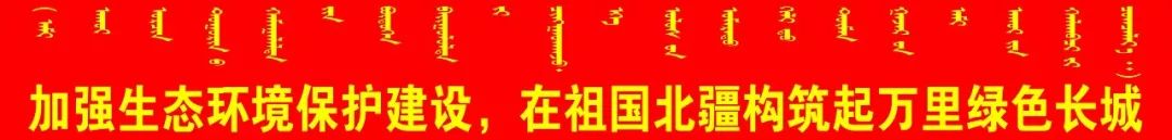 世界级工程大兴机场,超级工程大兴机场