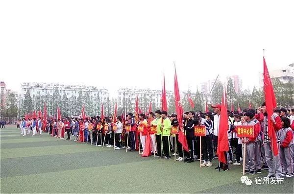 宿州市埇桥区中小学生田径运动会,宿州埇桥区2024年小学生田径比赛