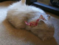 韩妆有多好玩,韩妆真的鸡肋没效果吗