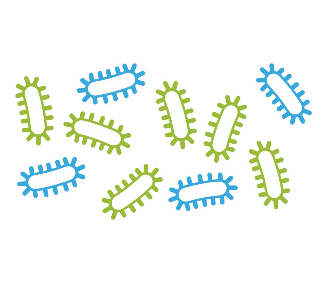 宝宝肠道菌群怎么来的,宝宝肠道菌群紊乱的后果