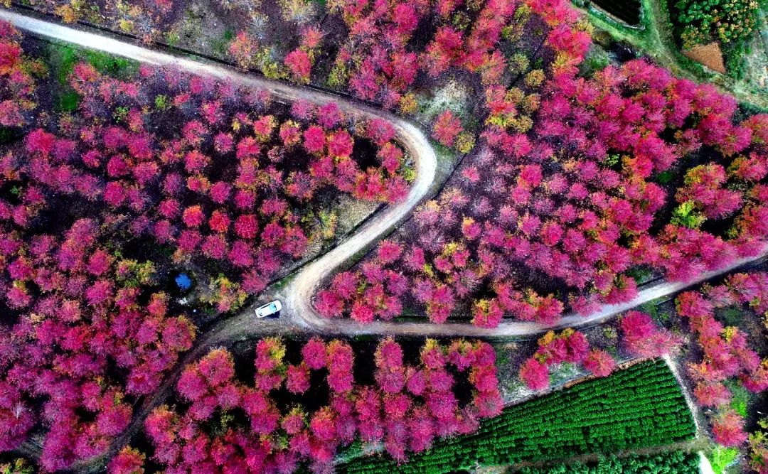 元稹十首千古绝诗,元稹千古佳句