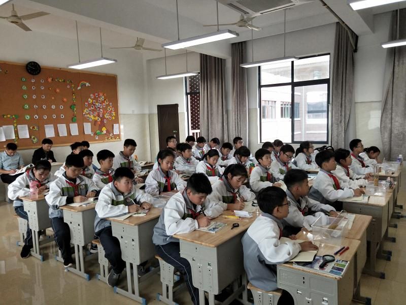 涓撳寮曢鍔╂帹瀛︽牎鍙戝睍,涓撳寮曢鍔╂垚闀垮悕甯堢ず鑼冧績鎻愬崌