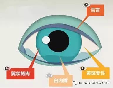 【骨折价太划算才上就快断货!】超多明星同款~韩国韩国设计师品牌Front更适合亚洲人脸型的太阳镜