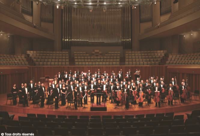 中国女星赵薇,赵薇有什么特质