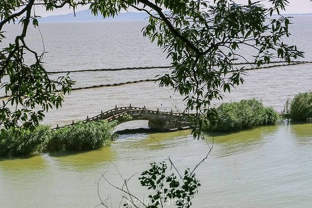 无锡赏花一日游,无锡春日樱花旅游攻略