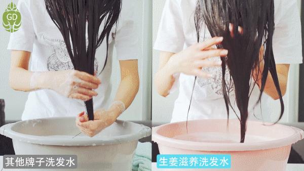 你的头发一天一次还长吗,你的头发那么长不会掉下来吗