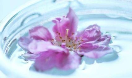 【方志四川•节气】刘艳平‖谷雨：雨生百谷，春从此别夏将至