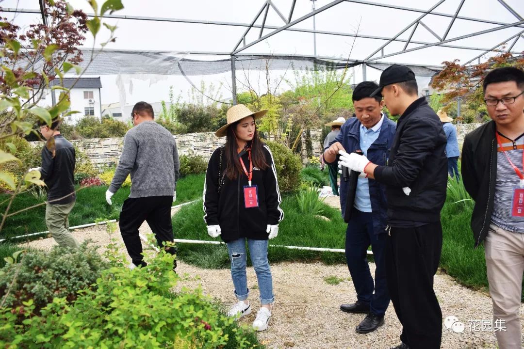 庭院自动喷灌效果图,地埋式喷灌庭院