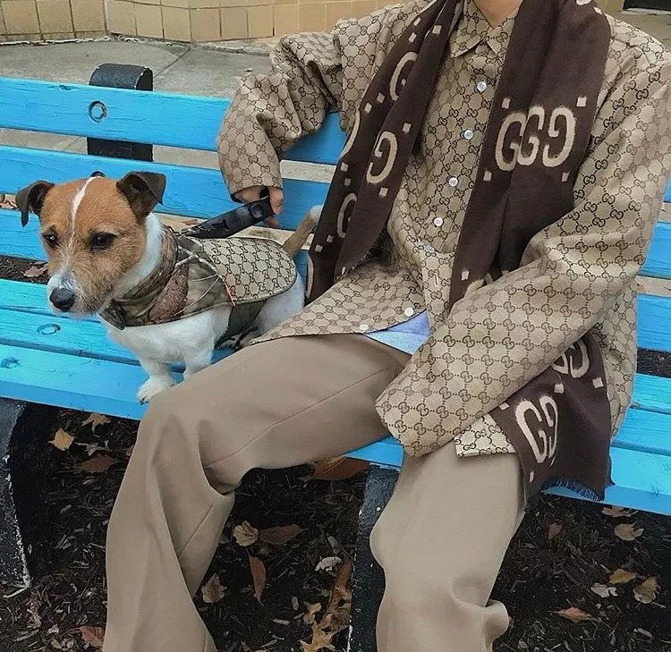 女生买假名牌,买假名牌的女孩