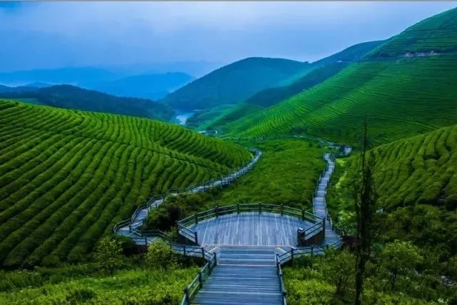 市区坐高铁到金山有几站,金山北的高铁能到哪些地方