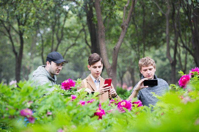 璞鍙ら兘涔嬬編,璞娌冲崡鍙戠幇涓嶄竴鏍风殑涓師涔嬬編