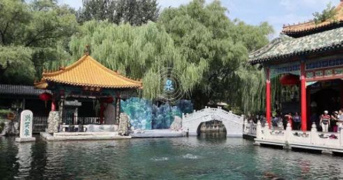 济南免费旅游趵突泉门票,青岛明天有没有旅游团