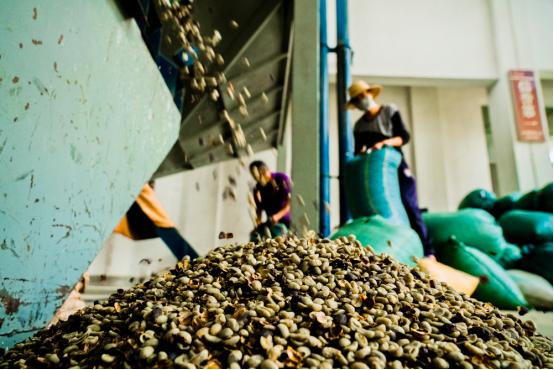 拼多多多多果园的商业模式,拼多多重塑中国农业产业链