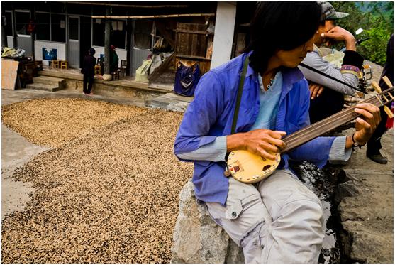 拼多多果园扶贫,拼多多农产品扶贫政策