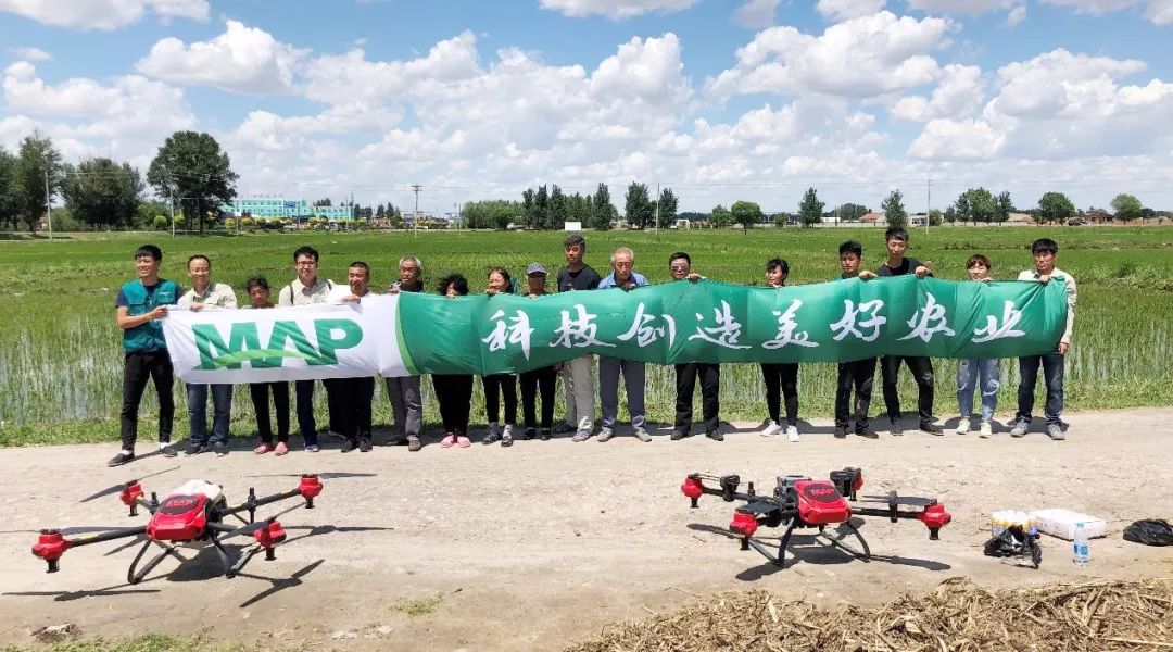 金香玉玉米肥,金香玉复合肥玉米专用肥亩用量