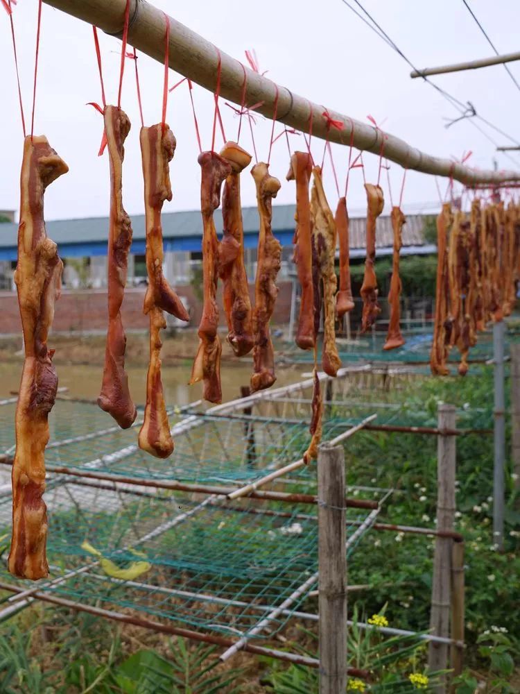 肇庆砚洲岛美景,行摄肇庆