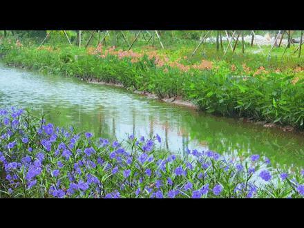 斗门为什么叫斗门,外地人眼中的斗门