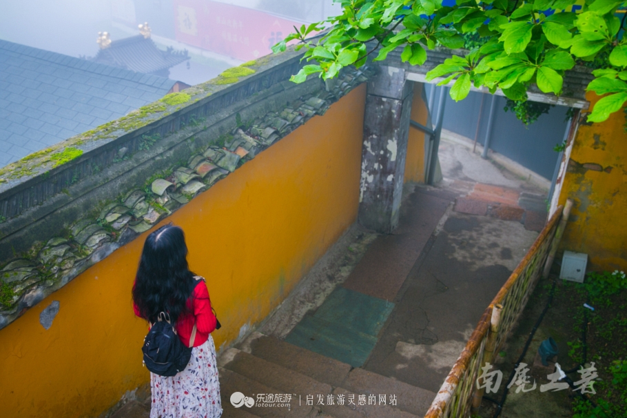 茶话会的形式是什么,中国茶道和日本茶道有什么联系