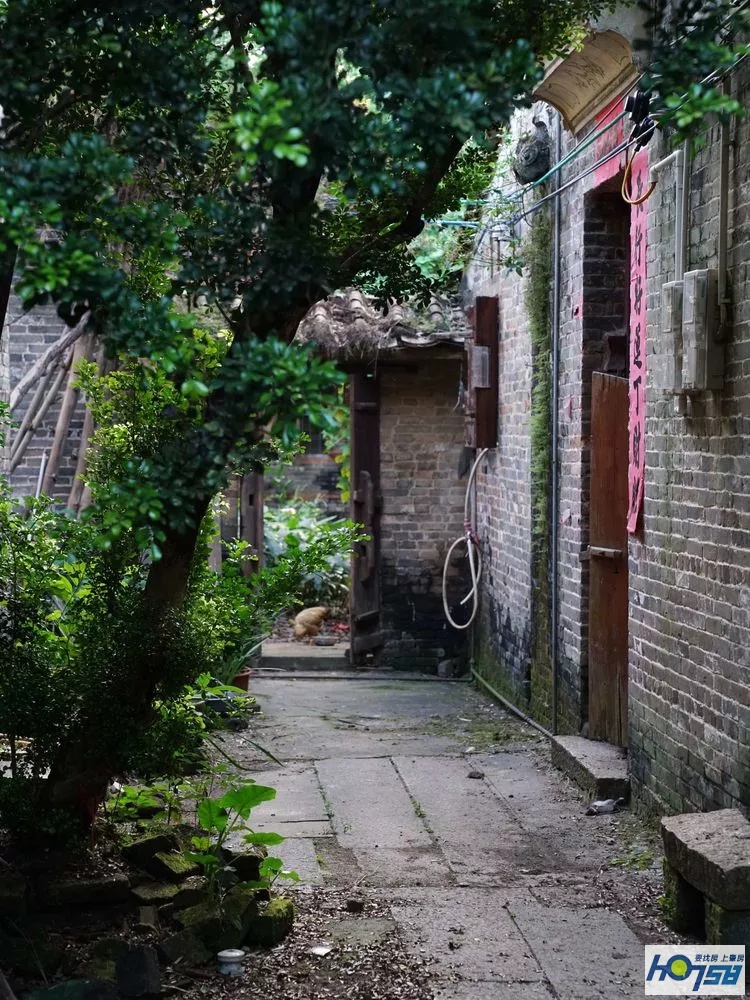 行摄肇庆·美丽砚洲岛——最接地气的生活记录，真实的力量打动人心