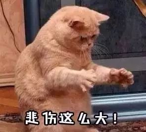 我把你当兄弟你却坑我,我把你当朋友你却只想套路我