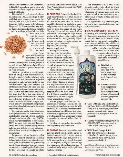 小猫皮肤溃烂被遗弃，新主人不顾病危通知，坚持治疗换来新生！