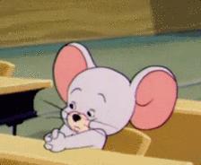 千年等一回演唱会最新,百年青春等一回完整视频