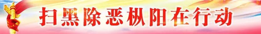 2019枞阳中学光荣榜,铜陵枞阳光荣榜