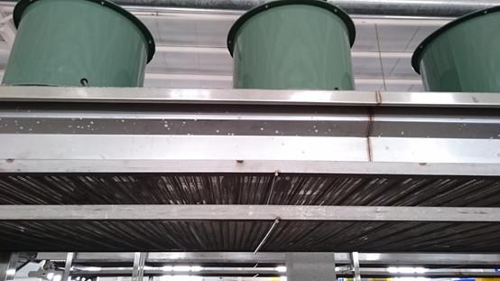 黄李强段淑敏:枣想告诉你|红枣期货上市必知小知识!