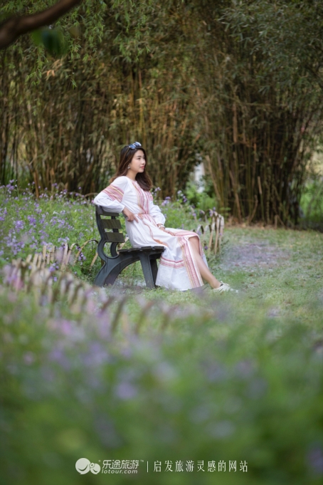 原味江南|在春日繁花烂漫的沙家浜,等风也等你