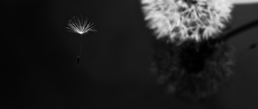 疯狂老师全集解说,疯狂老师最后一集