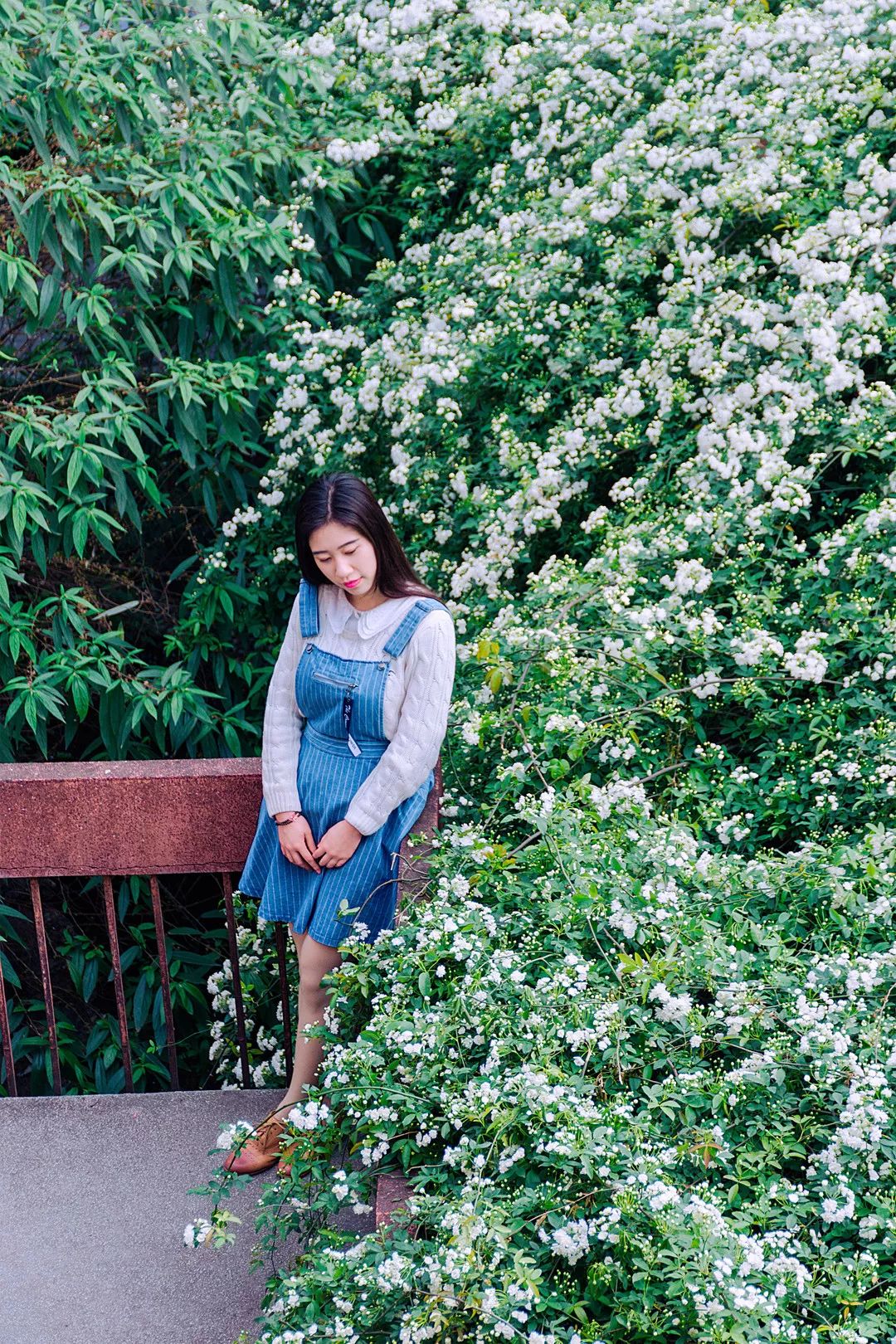 川大望江校区周边拍照打卡地,宝藏公园免费拍照地点