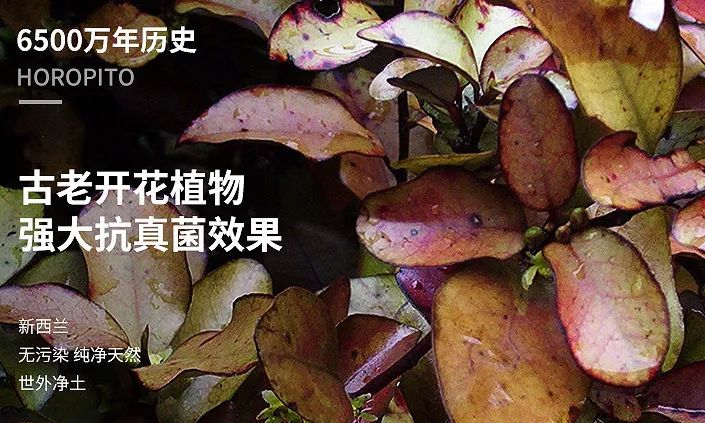 脚气脚臭脱皮克星,分享一个根治脚气脚臭方法