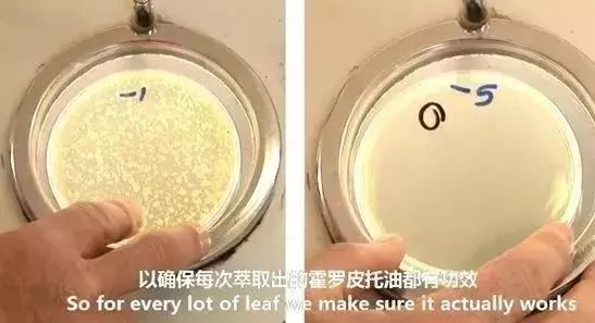 脚气脚臭脱皮克星,分享一个根治脚气脚臭方法