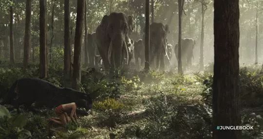 泰国蚊子叮咬止痒膏,泰国清凉膏蚊子